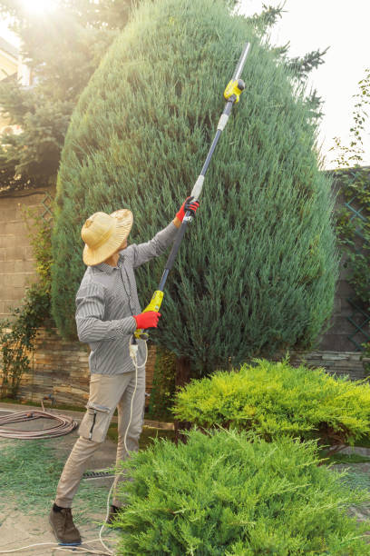 Lawn Grading and Leveling in Alpharetta, GA